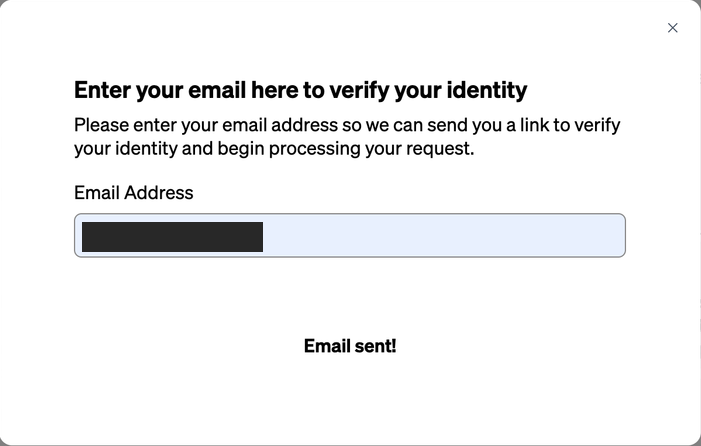 Privacy portal email verification step